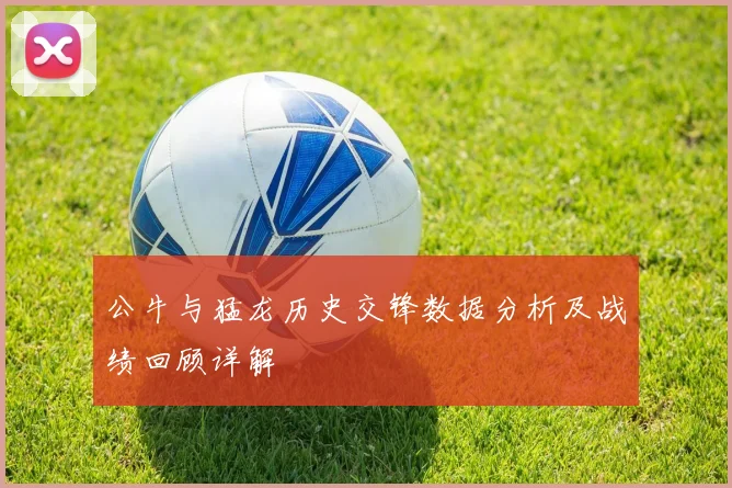 公牛与猛龙历史交锋数据分析及战绩回顾详解