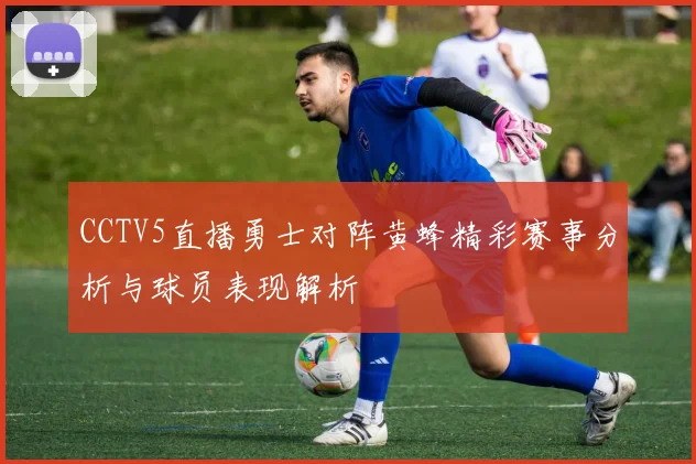 CCTV5直播勇士对阵黄蜂精彩赛事分析与球员表现解析