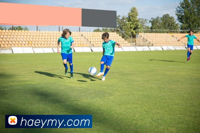 开云体育服务体系